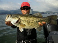 琵琶湖での釣果