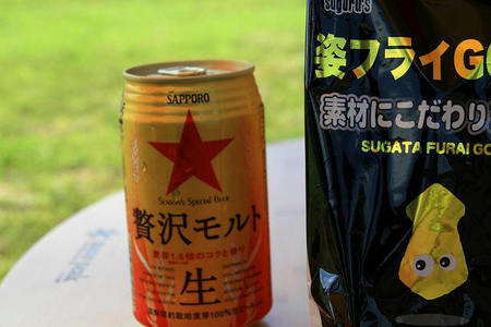 *放牧中 。。。。。ヽ(* ̄∇ ̄)ノ * 西山高原キャンプ場