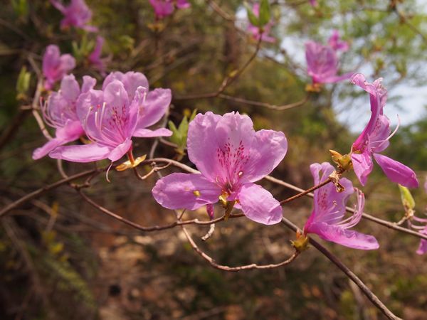 春の風に誘われて…☆*