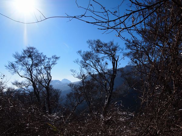 西日本最高峰 石鎚山~夜明かし峠をめざして~②