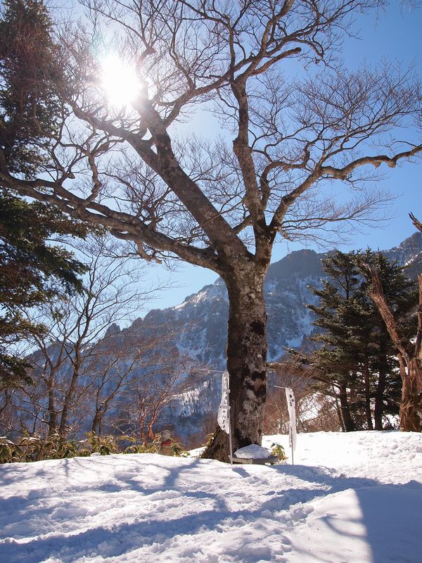 西日本最高峰 石鎚山~夜明かし峠をめざして~②