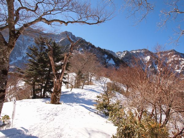 西日本最高峰 石鎚山~夜明かし峠をめざして~②
