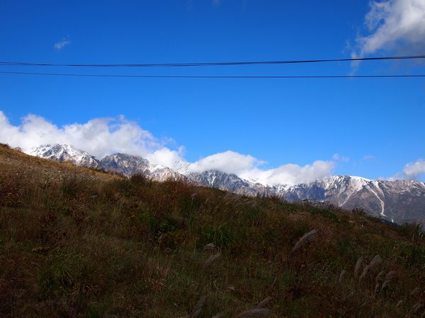 唐松岳~白馬三山を望む 紅葉山遊び*