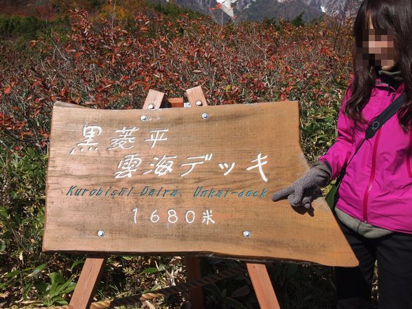 唐松岳~白馬三山を望む 紅葉山遊び*