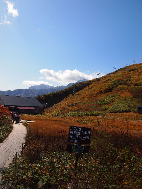 唐松岳~白馬三山を望む 紅葉山遊び*