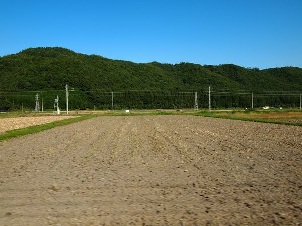 唐松岳~白馬三山を望む 紅葉山遊び*