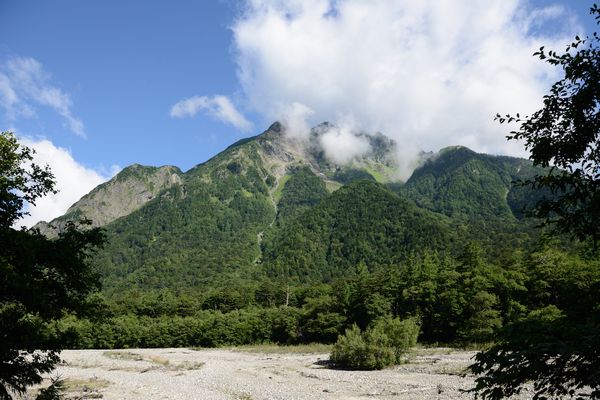 夏山!!①