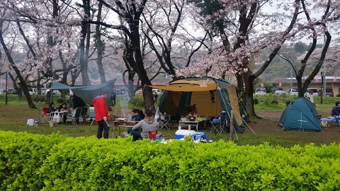 2016/4/3 お花見デイキャンプ＠上大島キャンプ場
