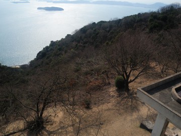岡山南部の桜満開予想は、4/4で間違い無さそう。