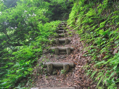 兵庫北部の滝巡り リベンジ（３） シワガラの滝