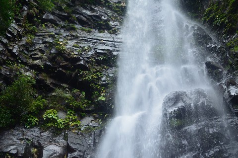 九州東部の滝巡り ５日目（１） 鉤掛滝・椎尾滝（宮崎）