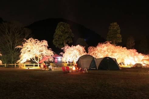 【特集】竹田の里しだれ桜まつり2016写真館