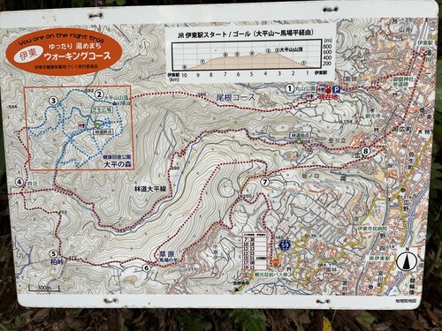大平山~馬場の平 大平山~馬場の平