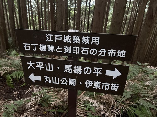大平山~馬場の平 大平山~馬場の平