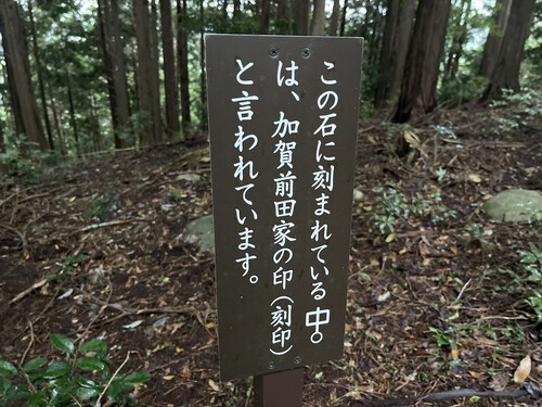 大平山~馬場の平 大平山~馬場の平