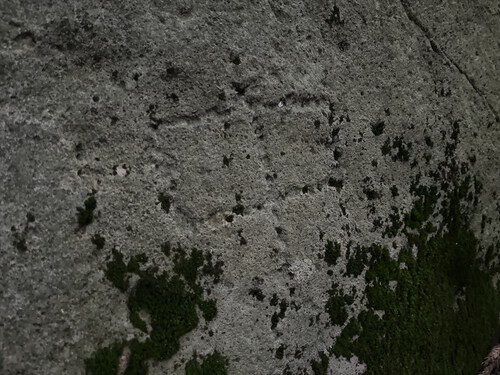 大平山~馬場の平 大平山~馬場の平
