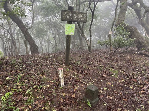 大平山~馬場の平 大平山~馬場の平