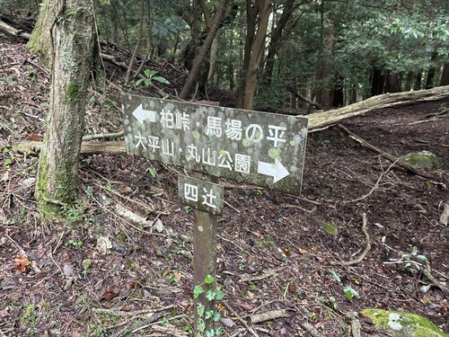 大平山~馬場の平 大平山~馬場の平