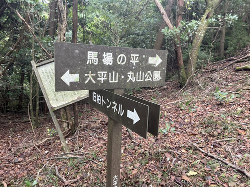 大平山~馬場の平 大平山~馬場の平