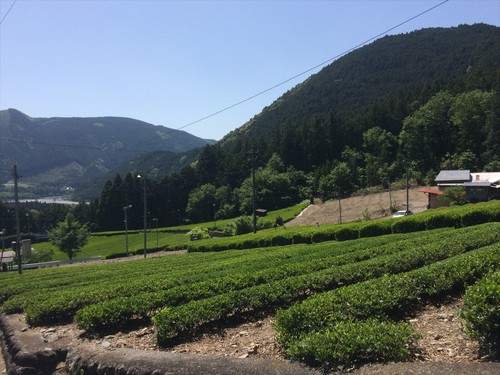 大札山 大札山