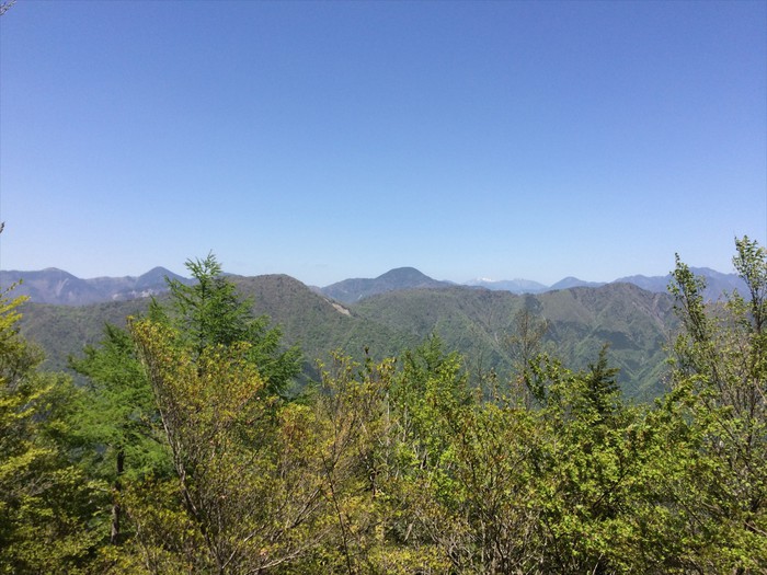 大札山 大札山