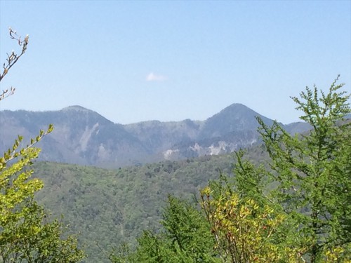 大札山 大札山