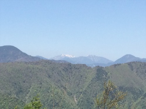 大札山 大札山