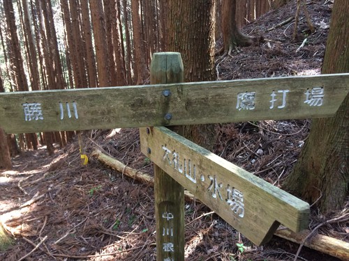 大札山 大札山