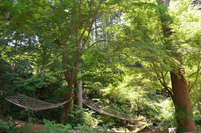 木漏れ陽の森オートキャンプ場　27回目キャンプ