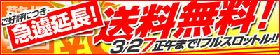 12 キャタリナ 入荷!