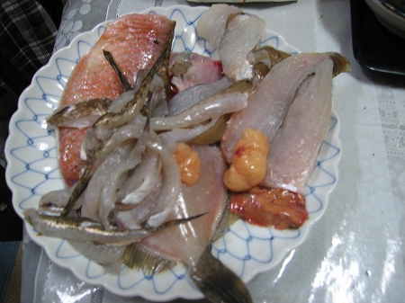 マルイカ&キス釣り