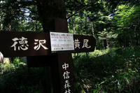 *徳澤キャンプ場~横尾キャンプ場 * 上高地 涸沢キャンプ