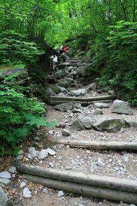 * 階段 階段 階段 階段 * 大山夏山登山道
