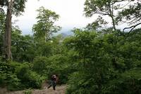 * 階段 階段 階段 階段 * 大山夏山登山道