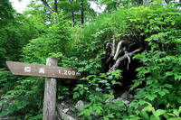 * 階段 階段 階段 階段 * 大山夏山登山道