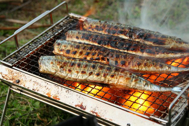* 今年の秋刀魚は旨いね~ * IN けび大池キャンプ場