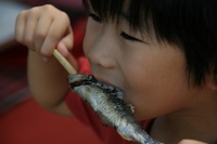 * 焚き火の季節 *