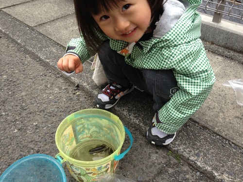 ザリガニ釣り