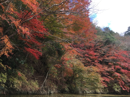 2017 紅葉の亀山湖 ♪