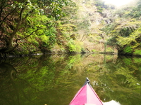 お花見カヌー 亀山湖♪