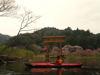 お花見カヌー 亀山湖♪ お花見カヌー 亀山湖♪