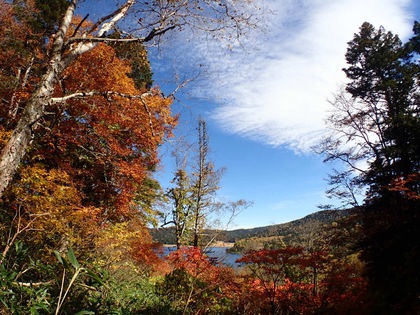 Autumn in Oze National Park ♪ Autumn in Oze National Park ♪