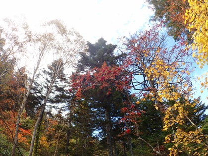 Autumn in Oze National Park ♪ Autumn in Oze National Park ♪