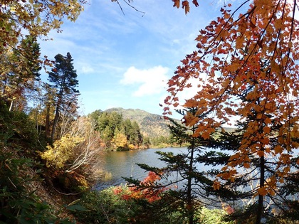 Autumn in Oze National Park ♪ Autumn in Oze National Park ♪