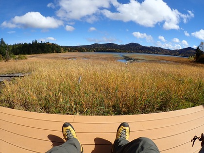 Autumn in Oze National Park ♪ Autumn in Oze National Park ♪