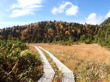 Autumn in Oze National Park ♪ Autumn in Oze National Park ♪