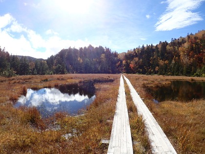 Autumn in Oze National Park ♪ Autumn in Oze National Park ♪