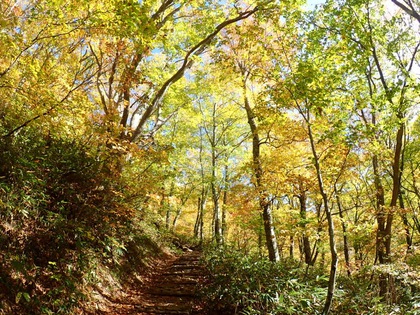 Autumn in Oze National Park ♪ Autumn in Oze National Park ♪
