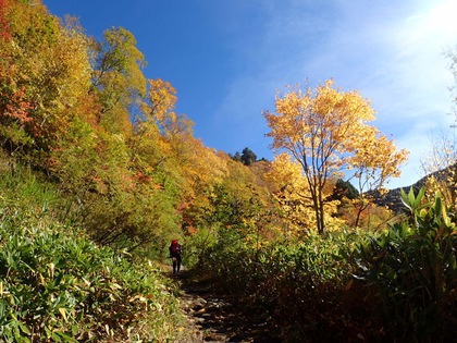Autumn in Oze National Park ♪ Autumn in Oze National Park ♪