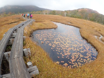 Autumn in Oze National Park ♪ Autumn in Oze National Park ♪